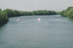img119 23.5.04 la Saona, tra St. Seine e Les Maillys