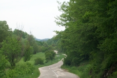 3 n (46) Tra Pirot e Zajecar (Serbia) 21-5-2012