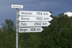 6 231