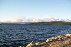 6 238 La baia di KIRKENES 7.8.2012