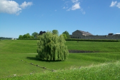 031 9° g MAUTHAUSEN
